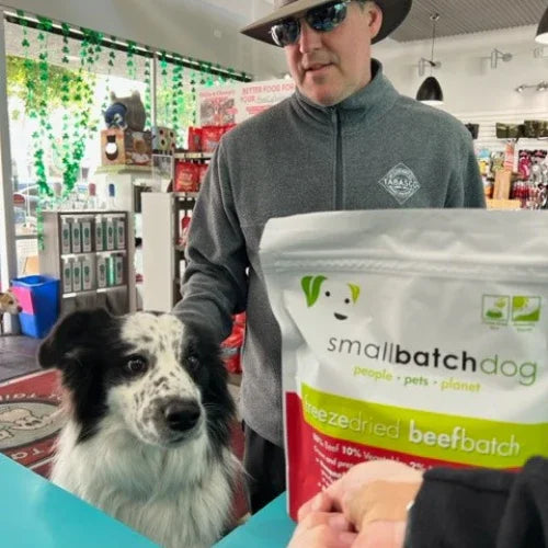 Inside Tailwaggers