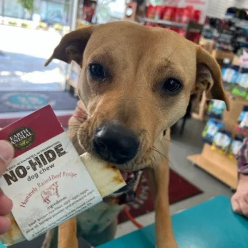 Inside Tailwaggers