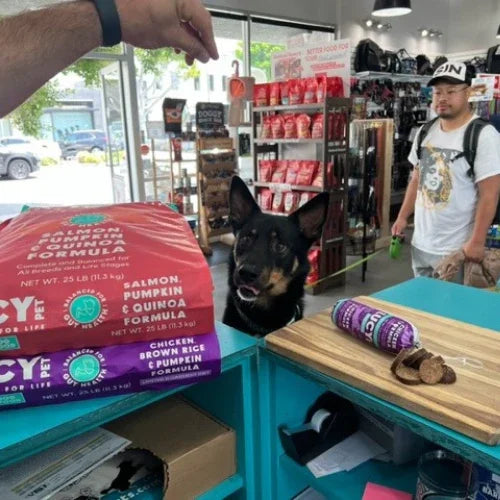 Inside Tailwaggers