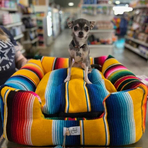 Inside Tailwaggers