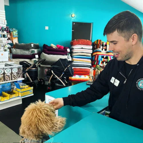 Inside Tailwaggers
