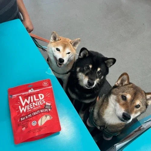 Inside Tailwaggers