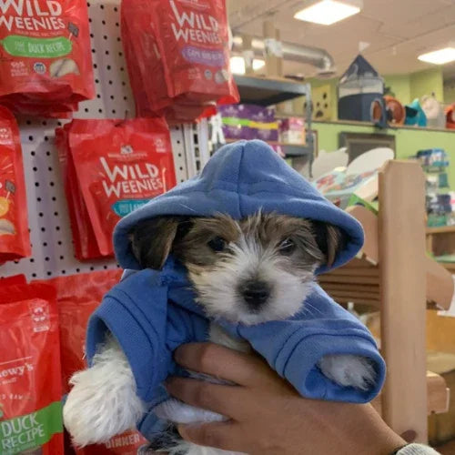 Inside Tailwaggers