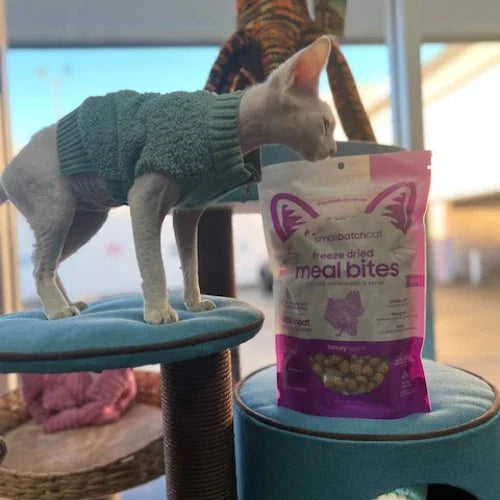 Inside Tailwaggers