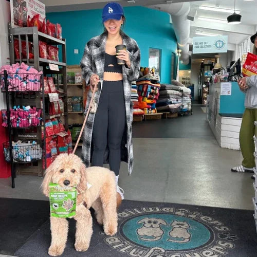 Inside Tailwaggers