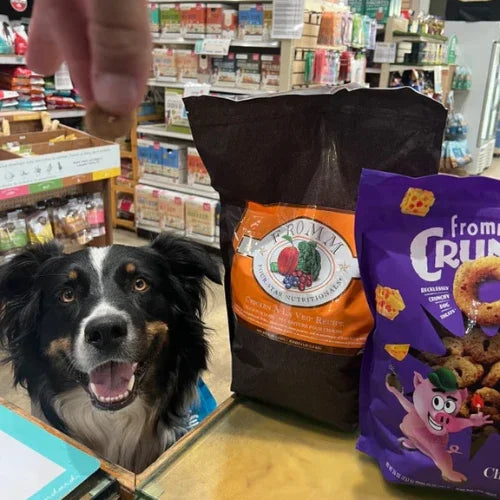 Inside Tailwaggers