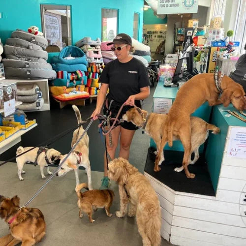 Inside Tailwaggers