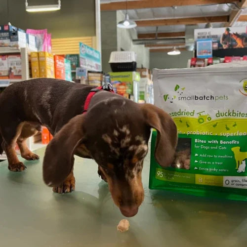 Inside Tailwaggers