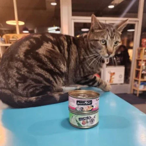 Inside Tailwaggers
