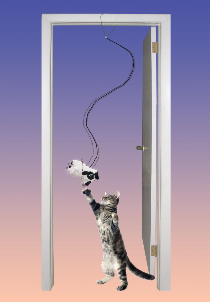 CAT★① Ethical Pet SPOT Baa Baa Black Sheep A-Door-Able Cat Toy - Los