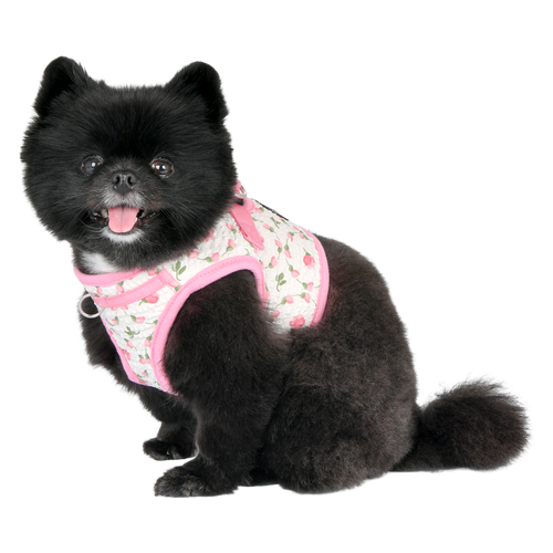 Puppia Florian Harness B