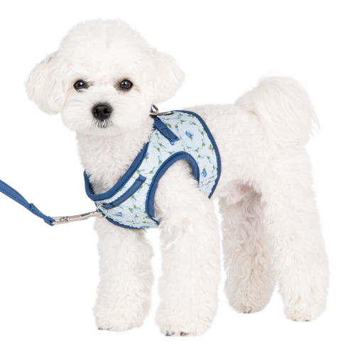 Puppia Florian Harness B