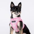 Puppia Luke Harness B