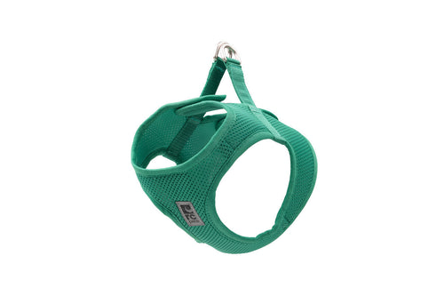 RC PETS Solid Step In Cirque