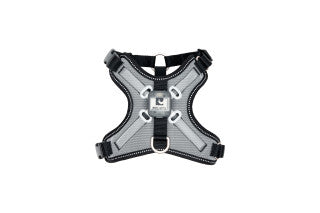 RC Pet Nova LED Light Harness