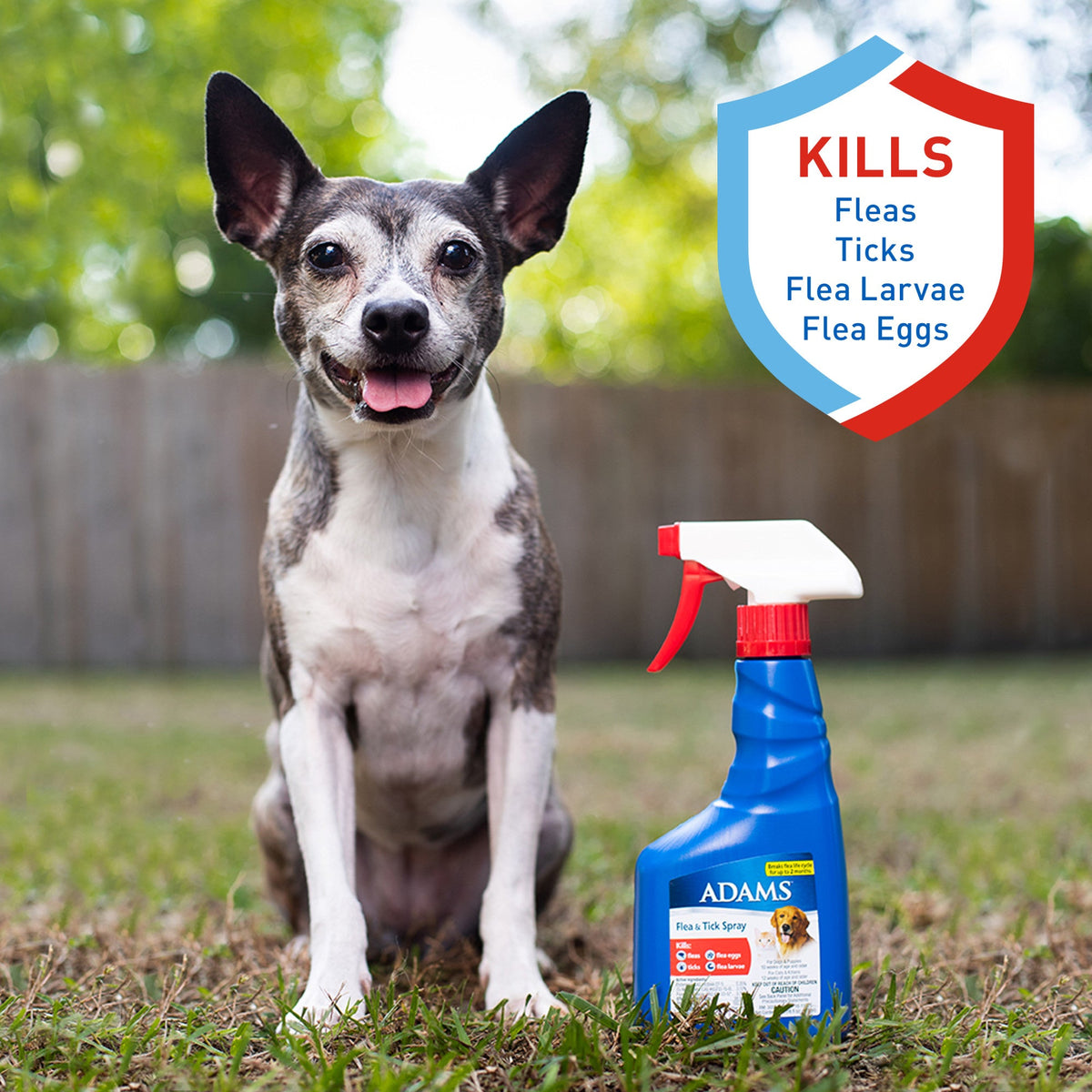 Tick spray hotsell for puppies