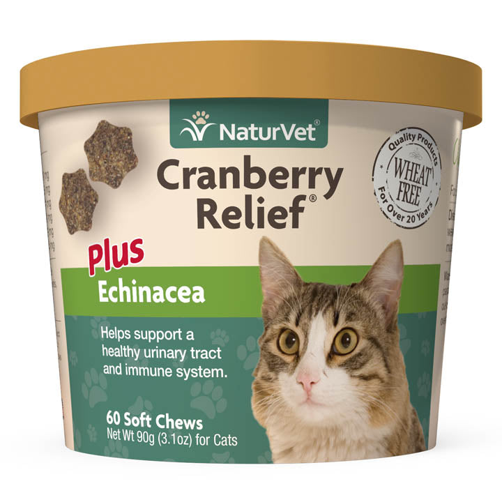 Soft chewable dry shop cat food