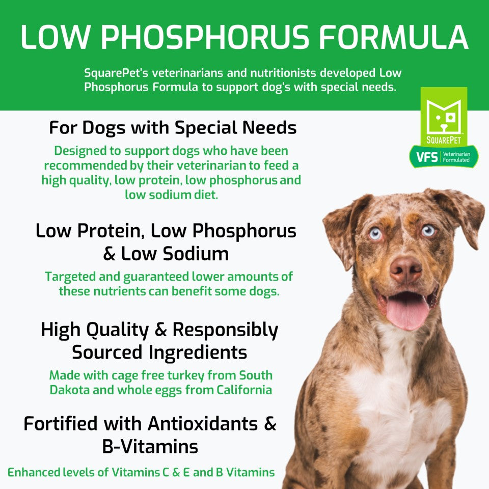 Low phosphorus treats for dogs hotsell