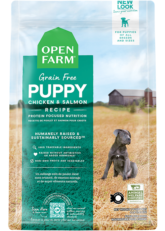 Non grain free dog foods outlet