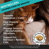 Pet Honesty Dual Texture Calming Supplement for Cats