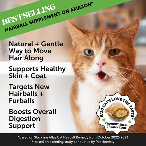 Pet Honesty Dual Texture Hairball Support Supplement for Cats Los Angeles CA West Hollywood CA Palm Springs CA Tailwaggers Pet Food Supplies