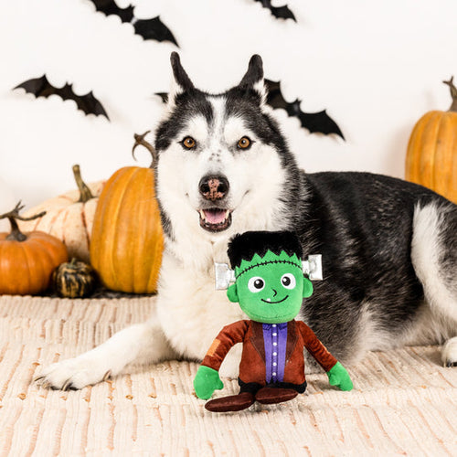 PetShop by Fringe Studio It's Alive!! Dog Toy