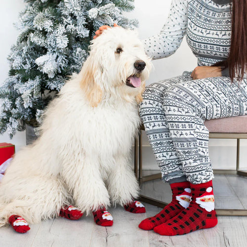 Pearhead Human and Dog Sock Set