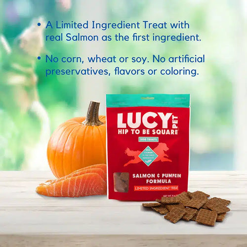 Lucy Pet Hip to Be Square™ Salmon and Pumpkin Dog Treats