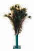 VEE Natural Peacock Feather Single