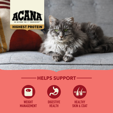 ACANA Highest Protein Indoor Cat Recipe (10 LB)