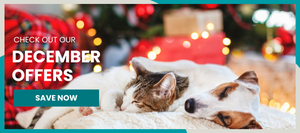 december offers dog and cat