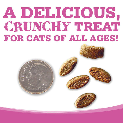 NutriSource® Crunchy Cat Salmon & Tuna Treats (3 Oz)