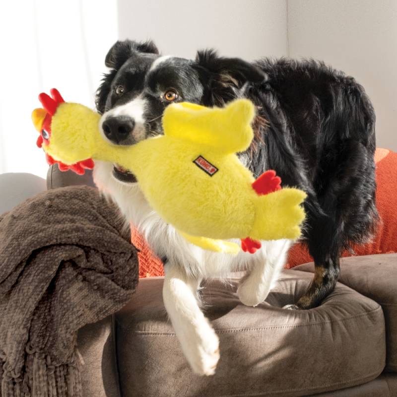 KONG Scruffs Chicken Dog Toy - Los Angeles, CA - West Hollywood