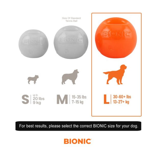 Bionic Ball Dog Toys