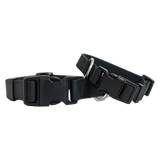 Springer Pets Dog Collar