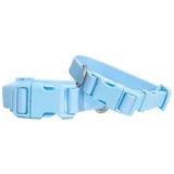 Springer Pets Dog Collar