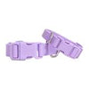 Springer Pets Dog Collar