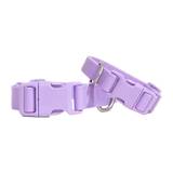 Springer Pets Dog Collar