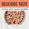 Nature's Variety Instinct Healthy Cravings Salmon Wet Cat Food Topper