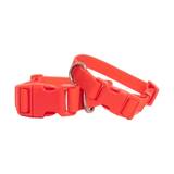 Springer Pets Dog Collar
