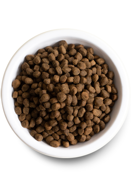Open Farm Catch-of-the-Season Whitefish Grain-Free Dry Dog Food