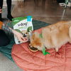 V-Dog Kind Kibble Mini Bites Dog Dry Food