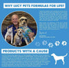 Chicken, Brown Rice & Pumpkin Limited Ingredient Diet Formula Dog Food Small Bite