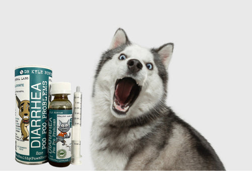 Healthy Paws Poo Poo Problems - Pet Diarrhea
