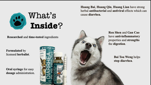 Healthy Paws Poo Poo Problems - Pet Diarrhea