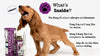 Itchy Scratchy- For Pet Allergies