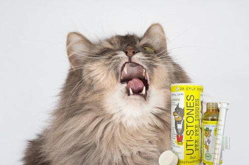 Healthy Paws Pee Pee Issues - Pet UTI Relief