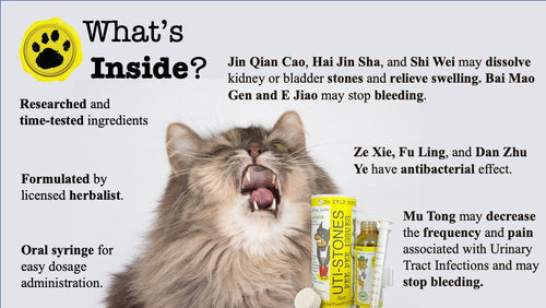 Healthy Paws Pee Pee Issues - Pet UTI Relief
