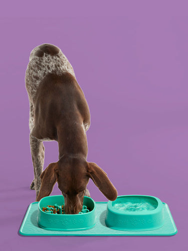 Yomp Dog SplashMat