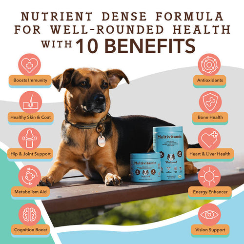 Natural Dog Company Multivitamin Supplement Soft Chews for Dogs